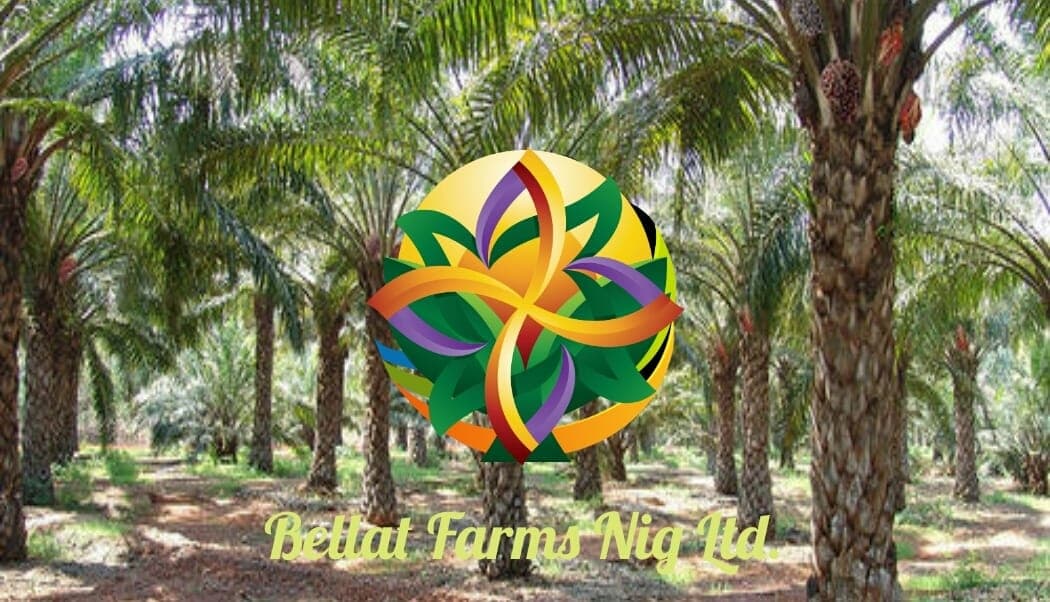 Bellat Farms and Agro Allied Nigeria Limited.