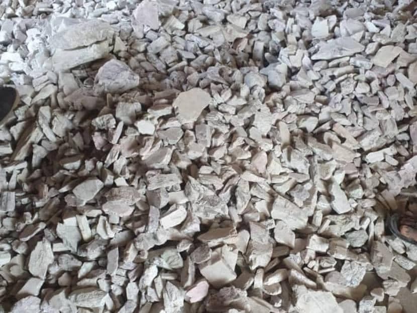 Augustina Impex Limited 2